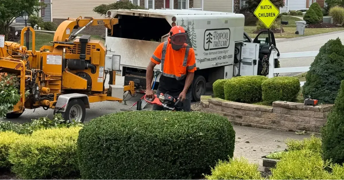 Custom Shrub Planting & Landscape Design in Pittsburgh