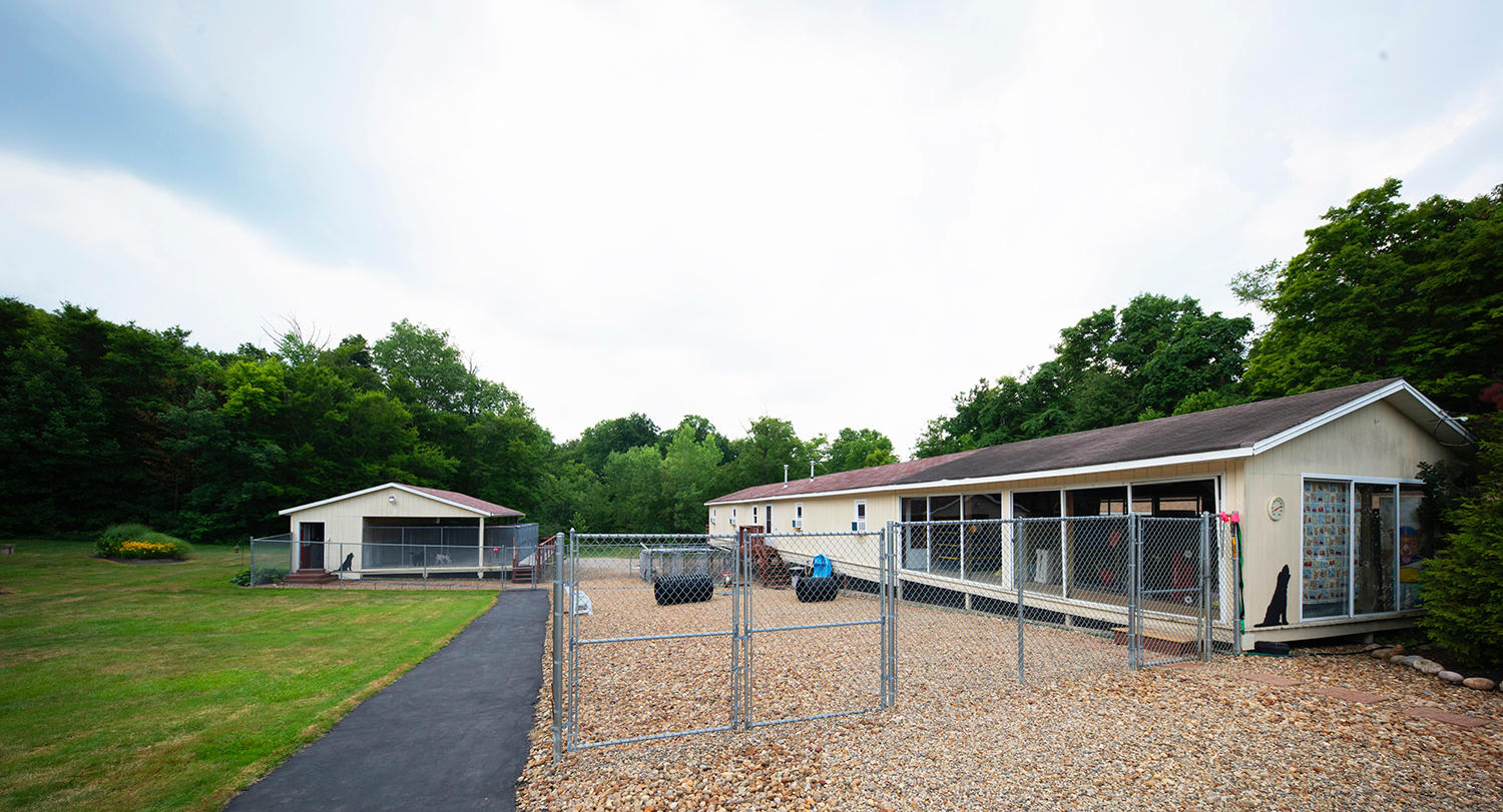 Dog Gone Crazy Kennels Photo