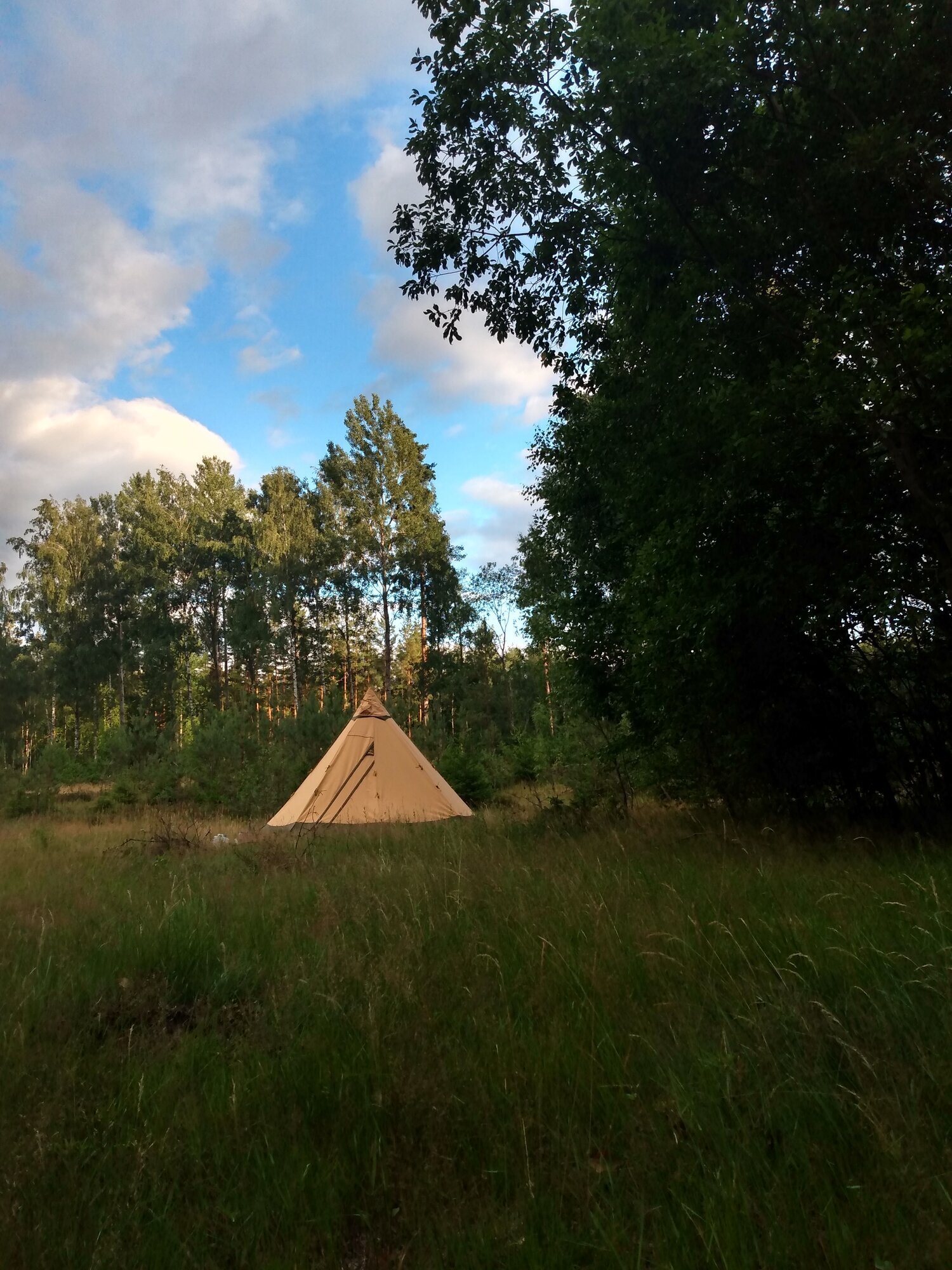Wildnisschule WildnisWelt in Greven