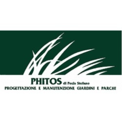 Phitos Logo