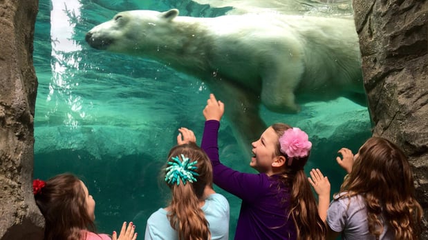 Images Holiday Inn & Suites Cincinnati-Eastgate (I-275E) by IHG