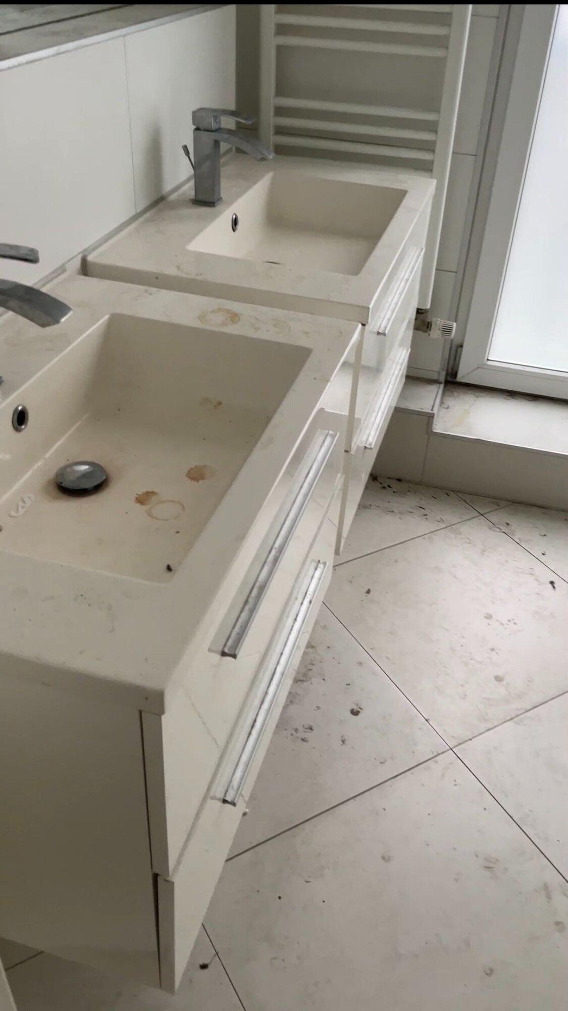 Glas- und Gebäudeservice Veggieputzt, Kottenforststraße 1 in Köln