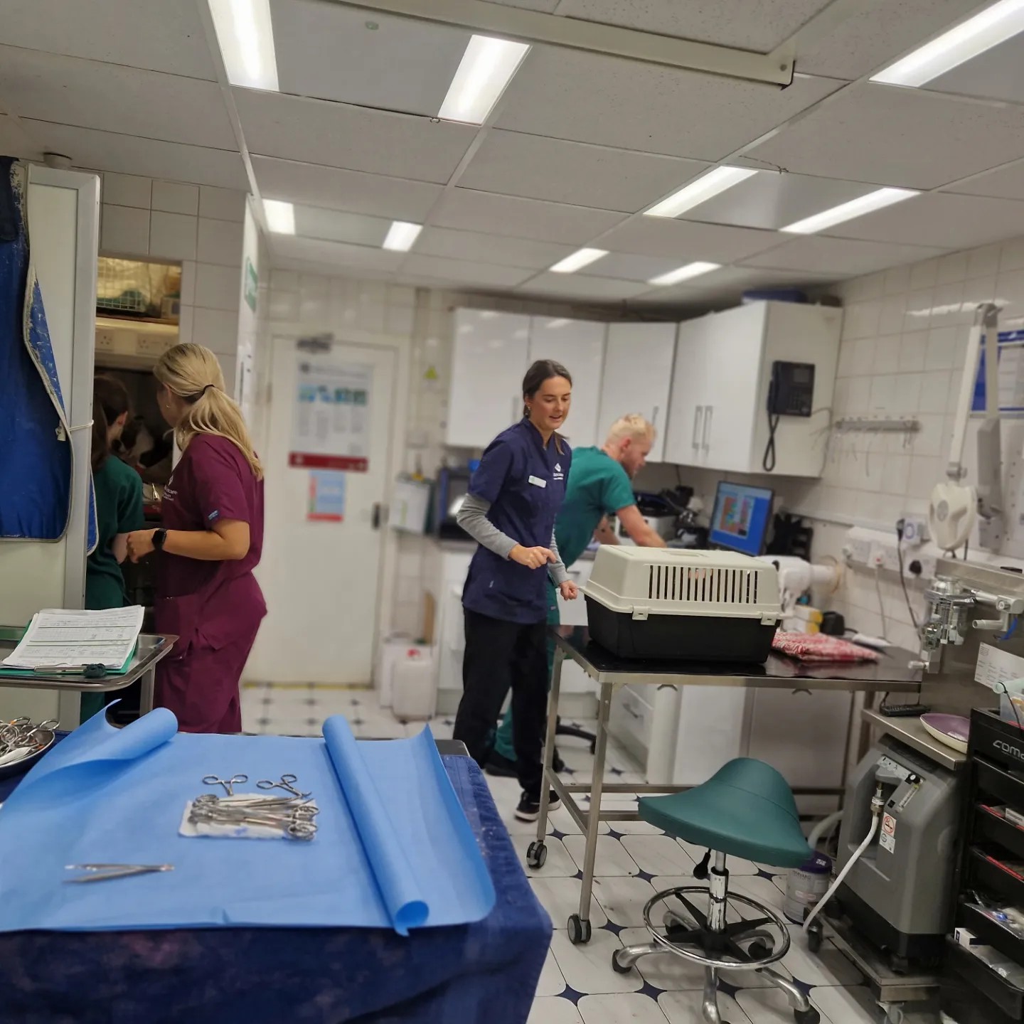 Images Streatham Hill Veterinary Surgery