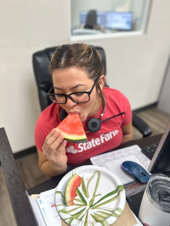 Images Jan Steimel - State Farm Insurance Agent