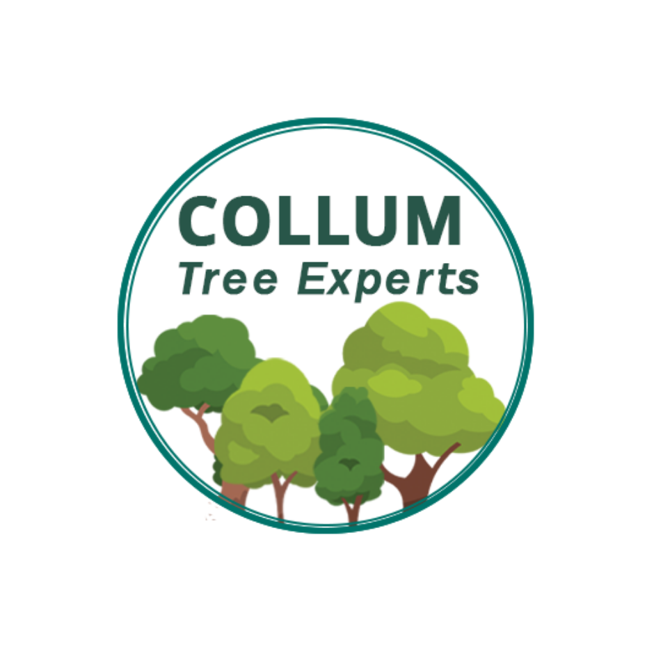 Collum Tree Experts Logo