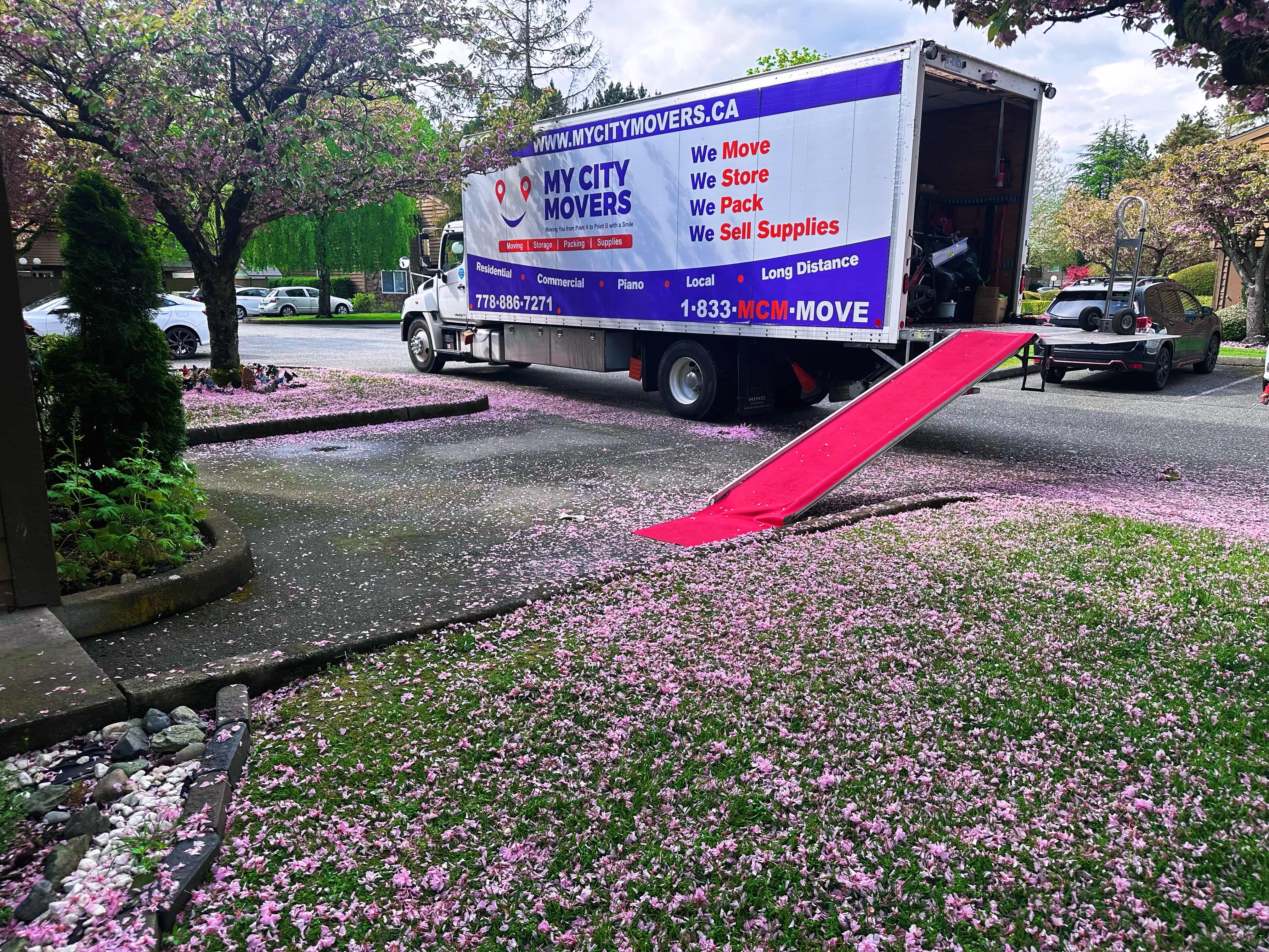 Images My City Movers | Surrey Movers
