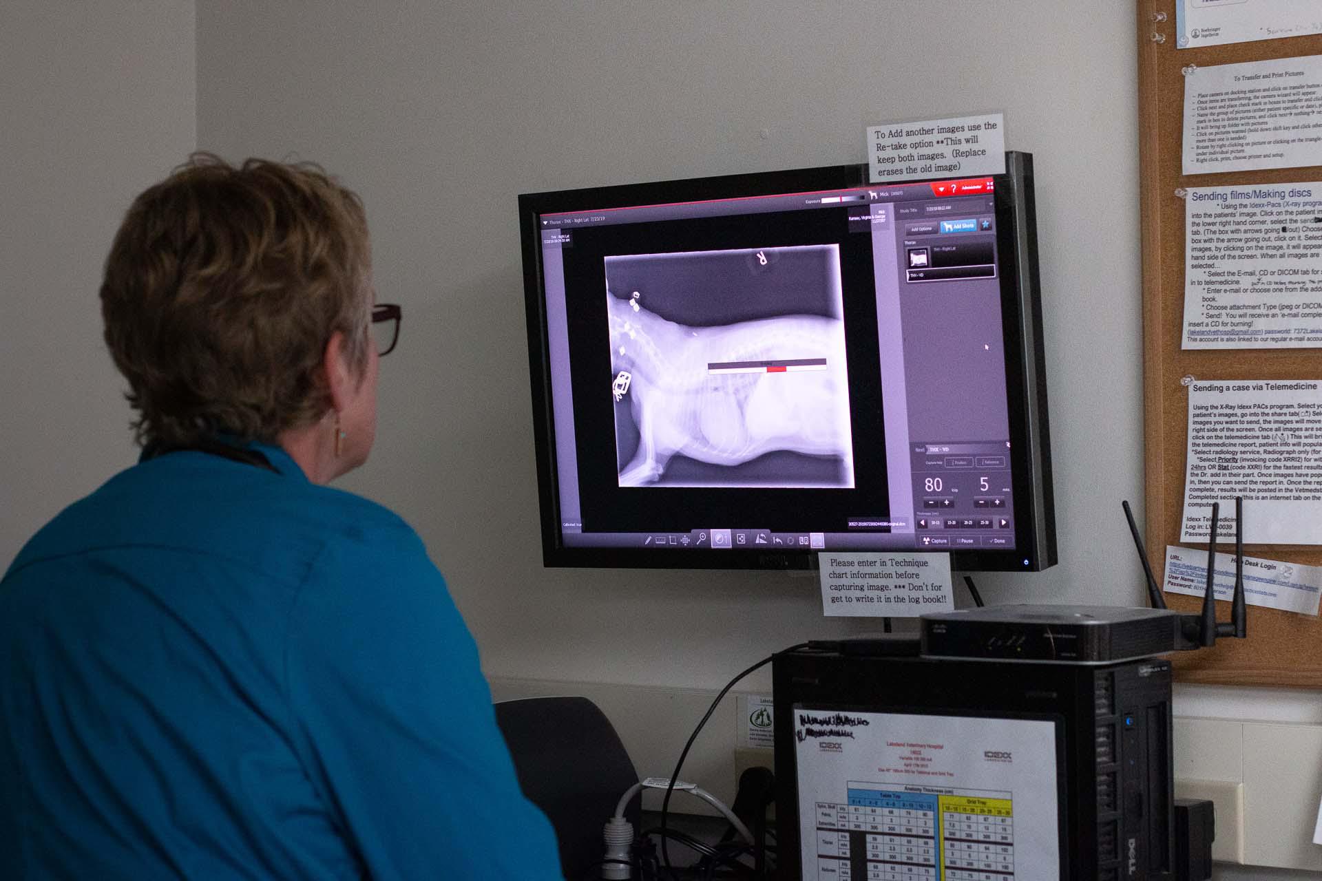 Did you know we offer digital radiography (aka X-Ray)? From a diagnostic perspective, x-rays serve as an invaluable role in veterinary medicine. They provide a view of the heart, lungs, and musculoskeletal system of the animal and visualize any deformities or abnormalities.