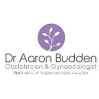 Dr Aaron Budden Logo