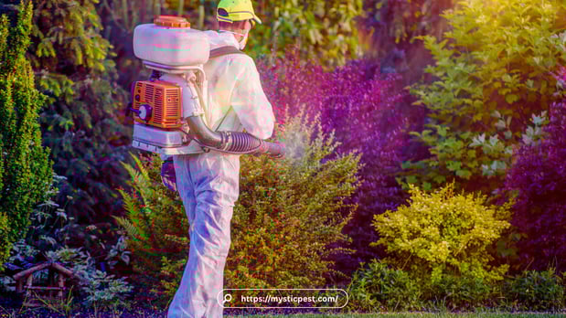 Images Pest Control Detroit