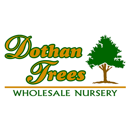 Dothan Trees Logo