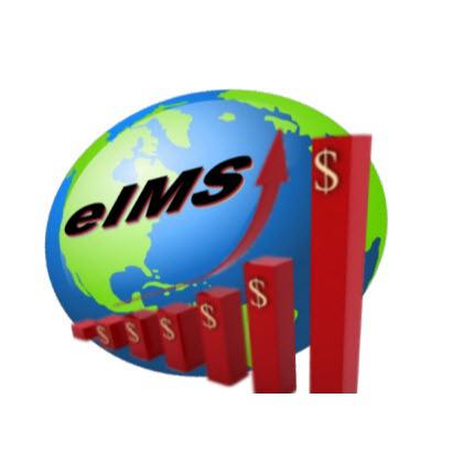 E-Internet Marketing Services LLC Logo