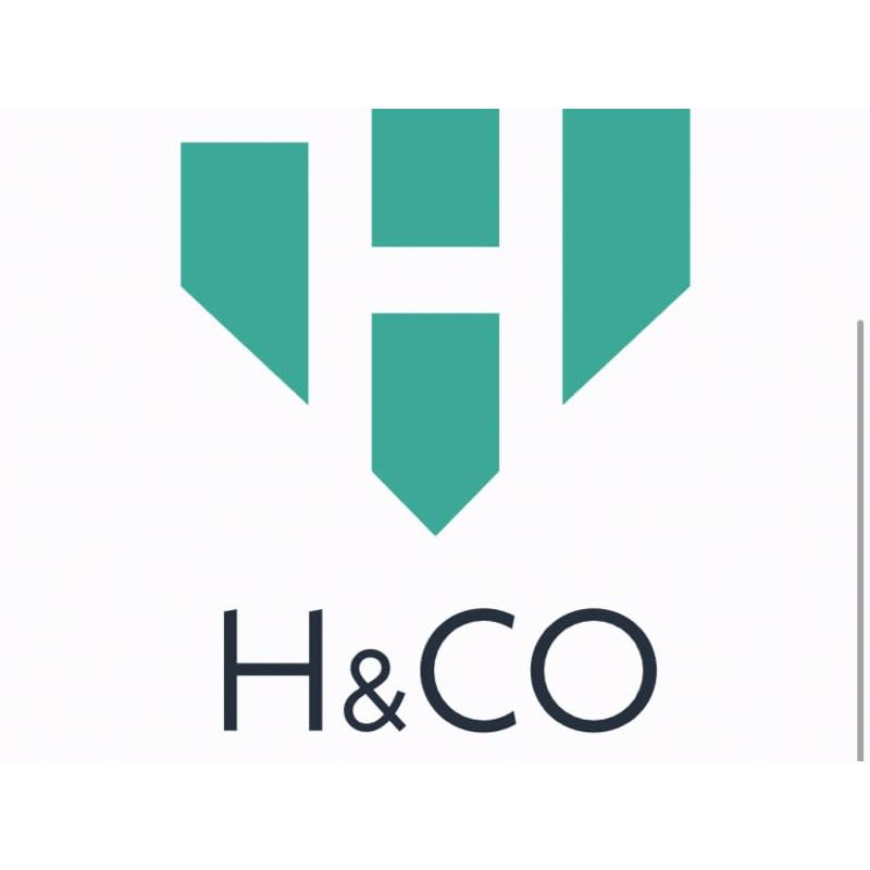 LOGO H&Co Flooring Solutions Harlow 07515 906665