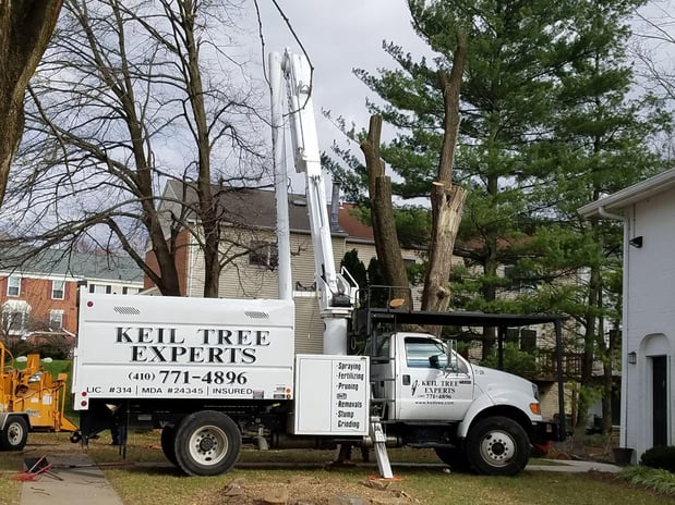 Images Keil Tree Experts Inc