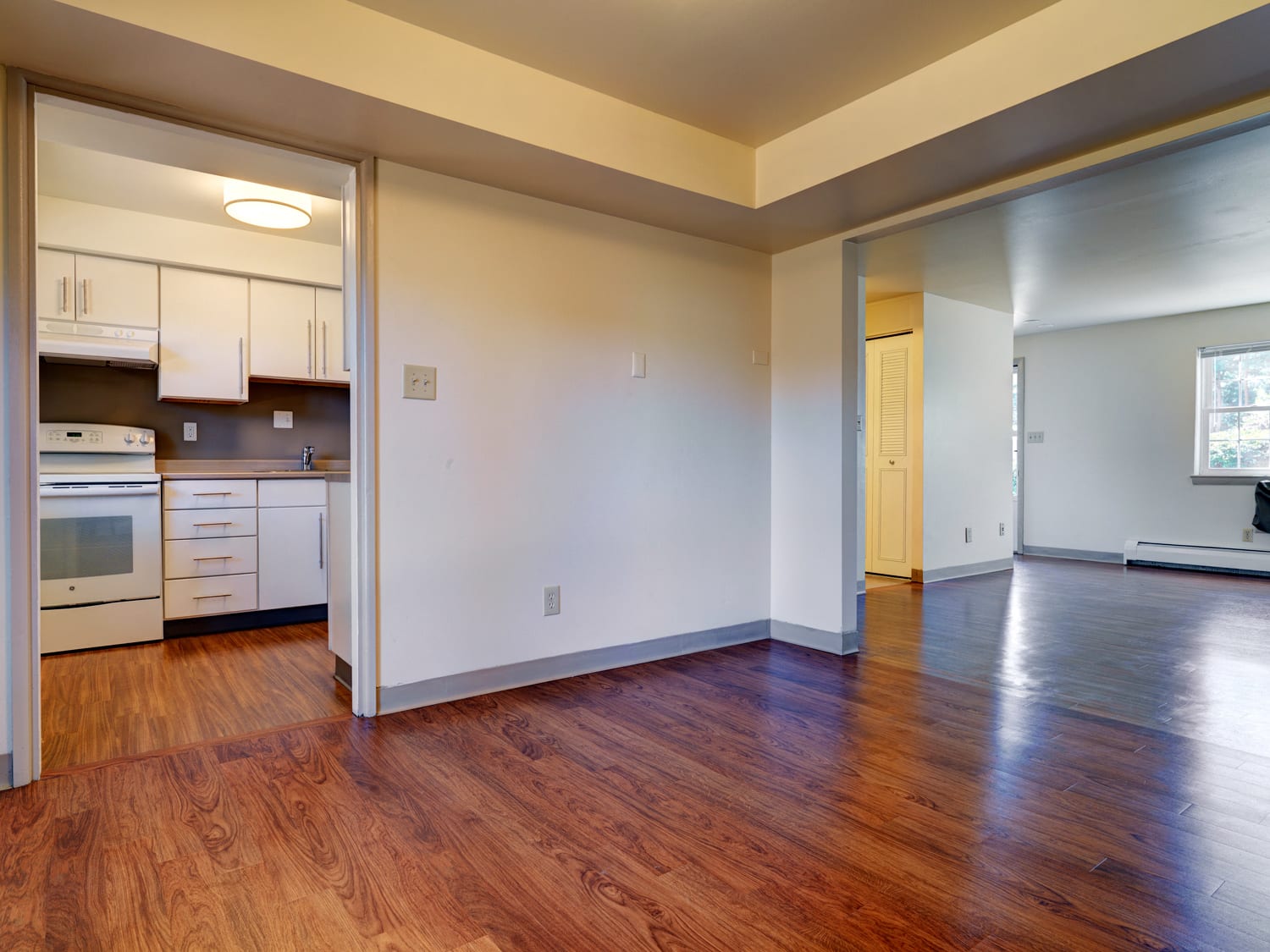 Living Room and Kitchen