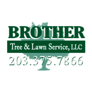 Brother Tree & Lawn Service Logo
