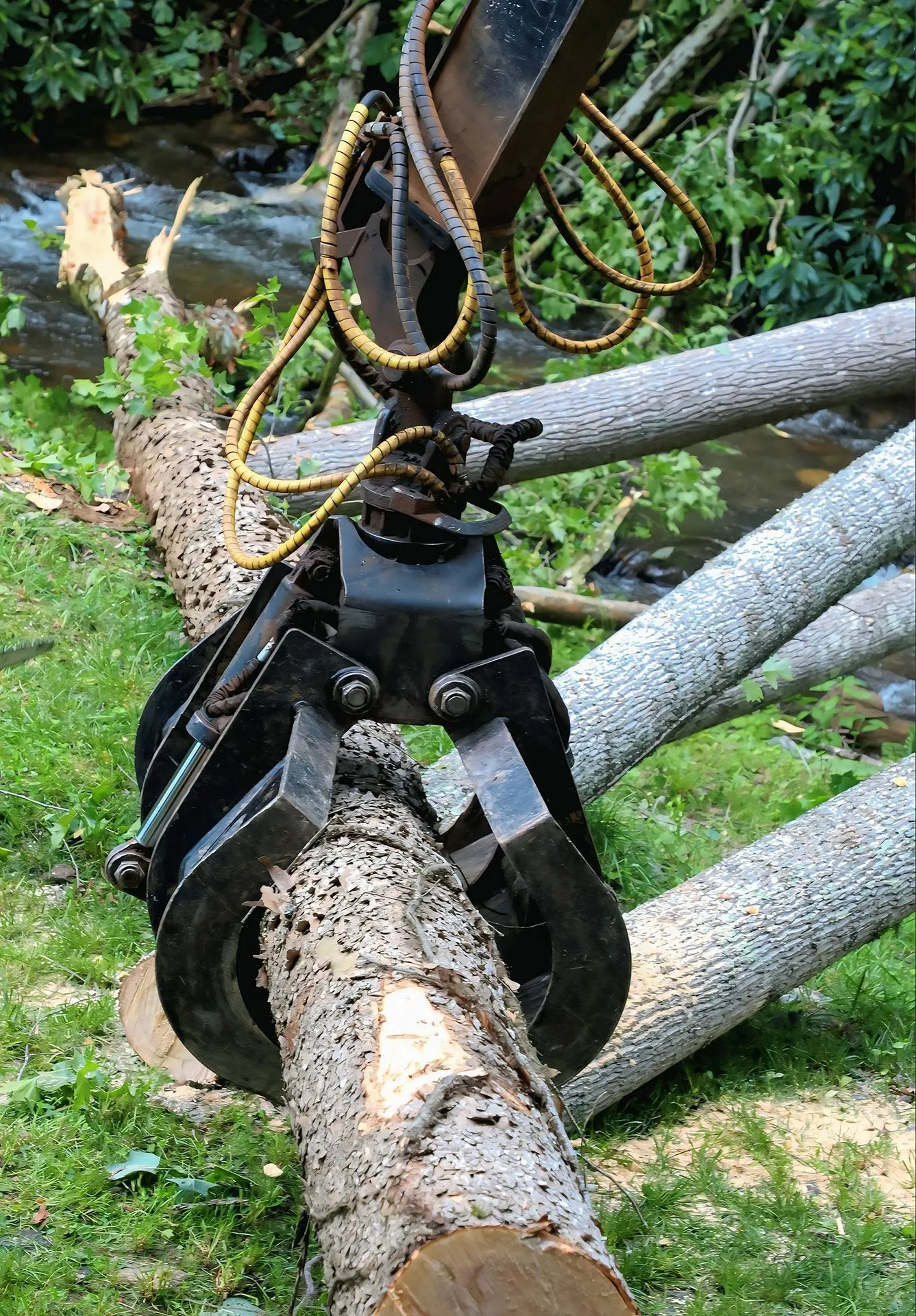 Cope Tree Service & Mulch Delivery Image