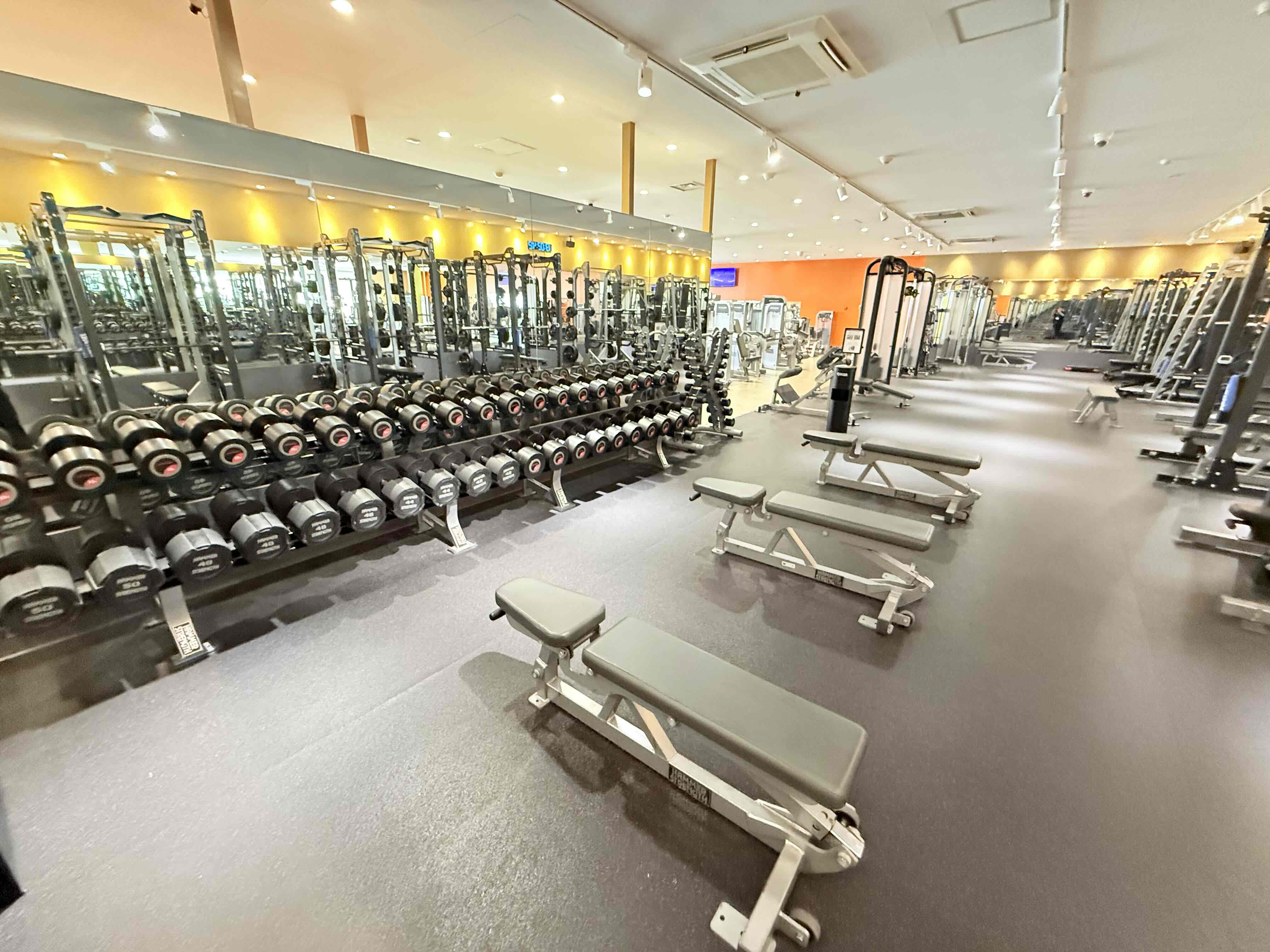 Images エニタイムフィットネス新安城