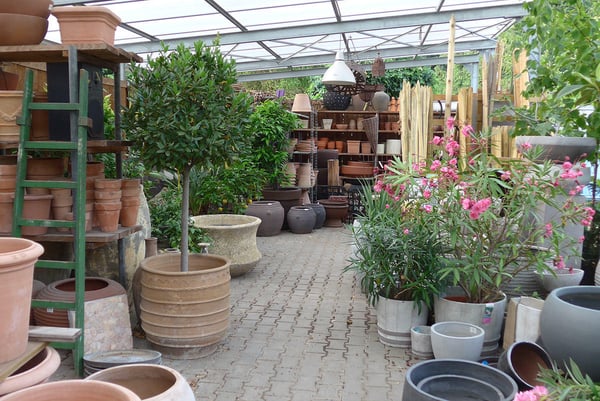 Bilder GartenBaumschule Schneider