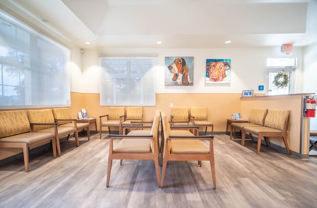 Images VCA Veterinary Hospital of Leon Springs