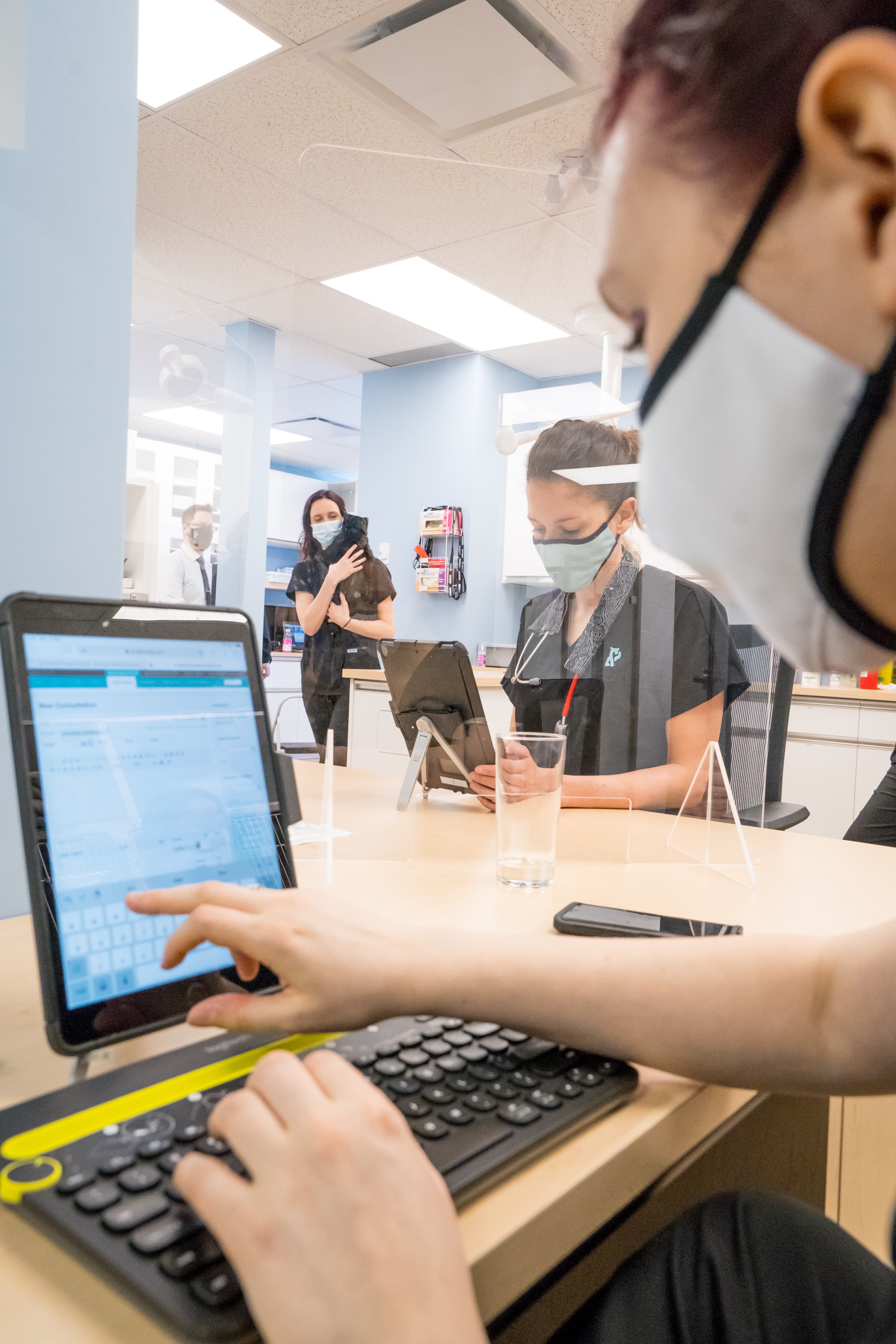 Images Vet & Cie Brossard | Vétérinaire indépendant & québécois, Toilettage, Garderie pour chien, Urgence chien et chat | Montérégie