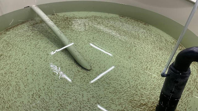 Images Plast Solutions ApS