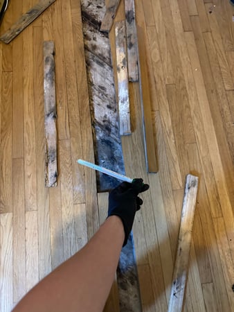 Images 24H Mold Inspection of Santa Clarita