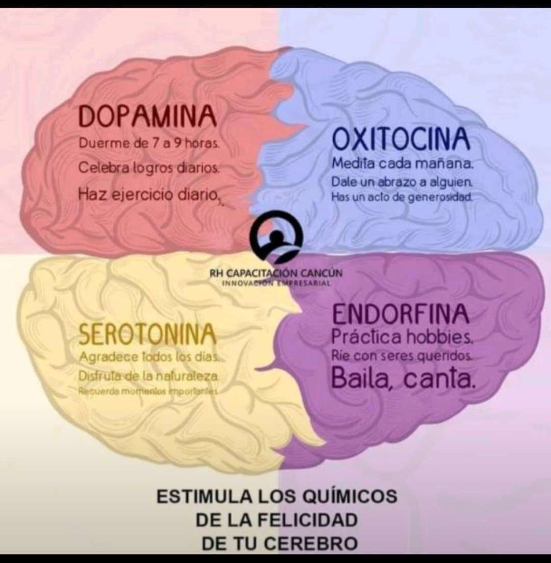 Images Menthes Psicología. MarySol Matamoros. Psicóloga Sanitaria.