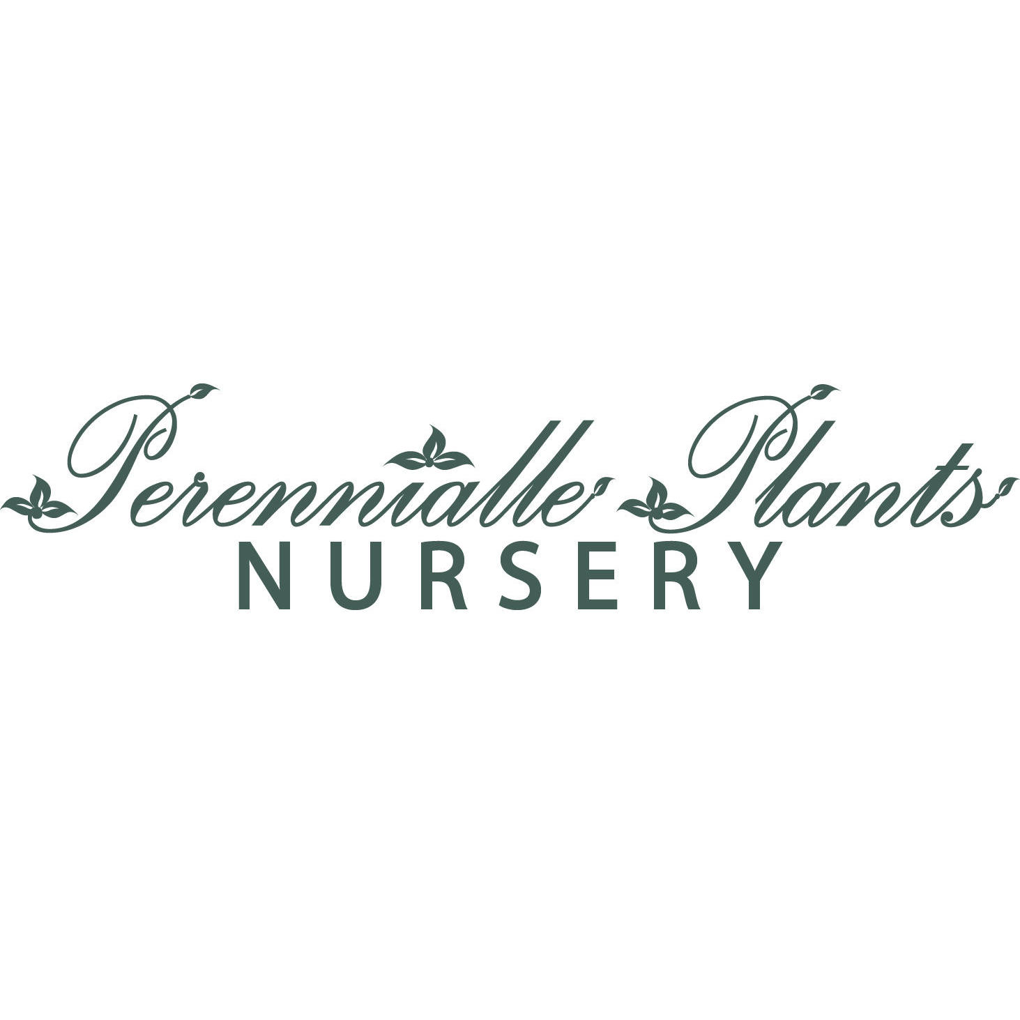 Perennialle Plants Nursery, Cafe and Emporium Logo
