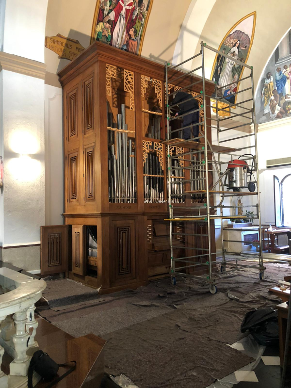 Images Disinfestazioni Ambientali Bachisio Carta