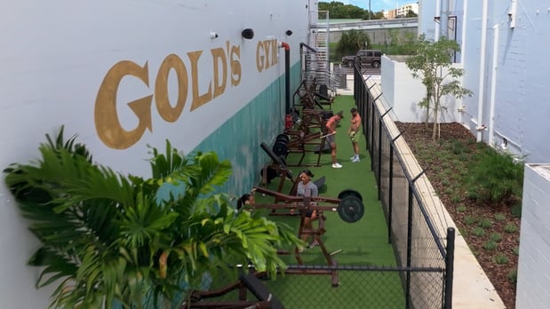 Images Gold's Gym Tampa (Gas Worx)