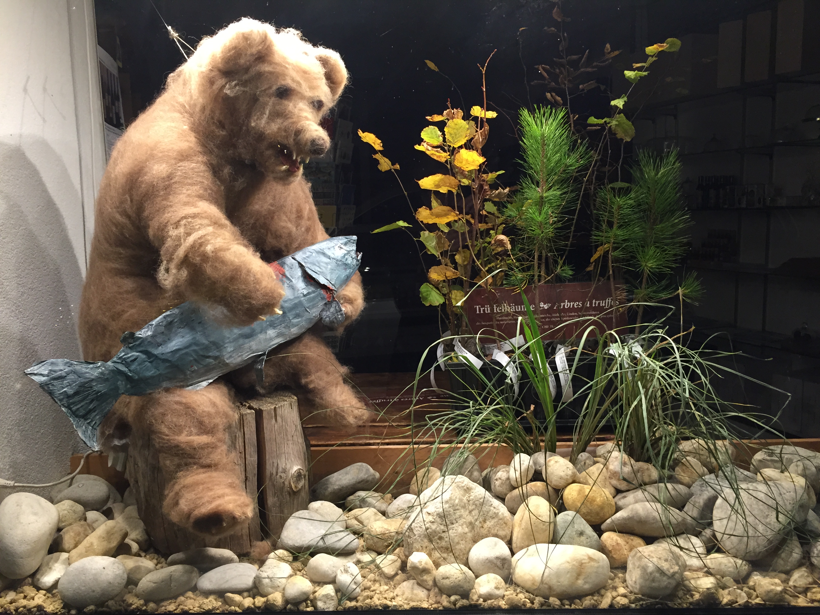 Sockeye Wildlachs- und Trüffelspezialitäten, Collègegasse 2 in Biel/Bienne