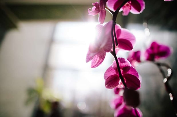 Images Colcord Hotel Oklahoma City, Curio Collection by Hilton