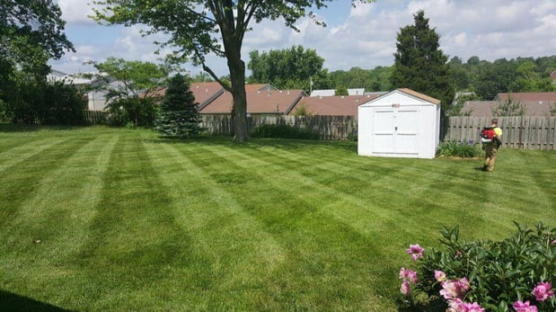 Images Cardinal Lawn Care LLC