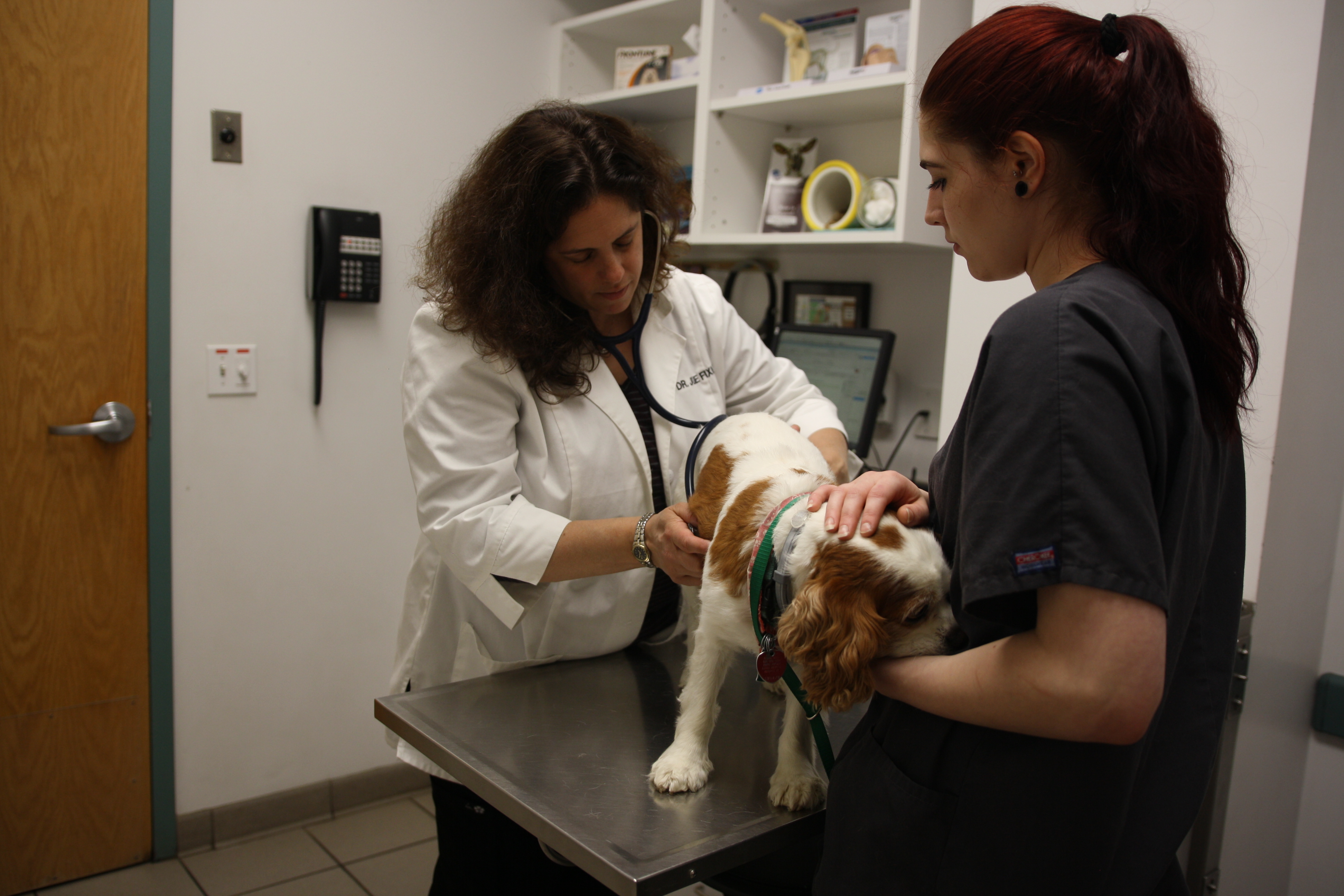 One of our lovely vet assistants works to hold and pet one of our patients while Dr. Fixman listens to their heart and lungs to make sure their systems are in top shape.