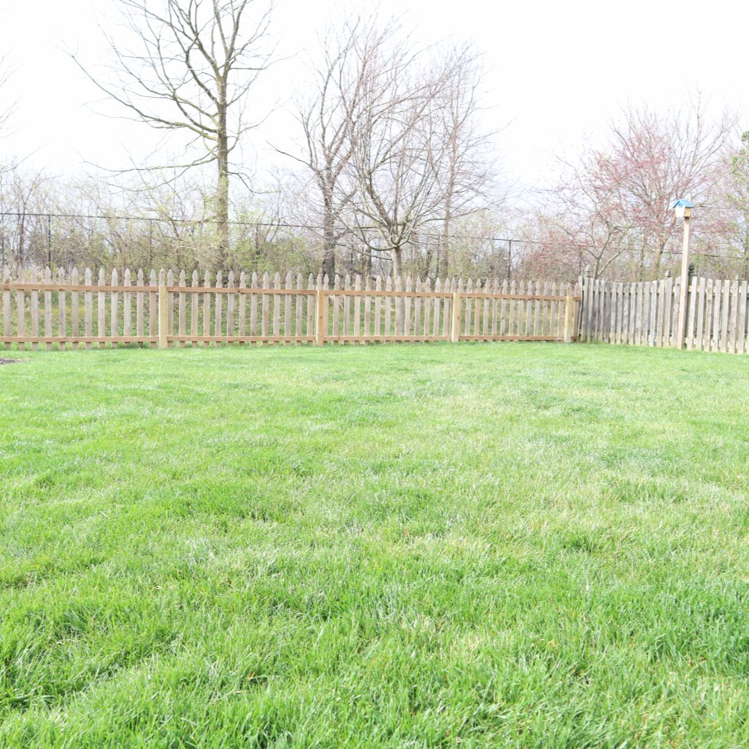 Blue Duck Lawn Care Image