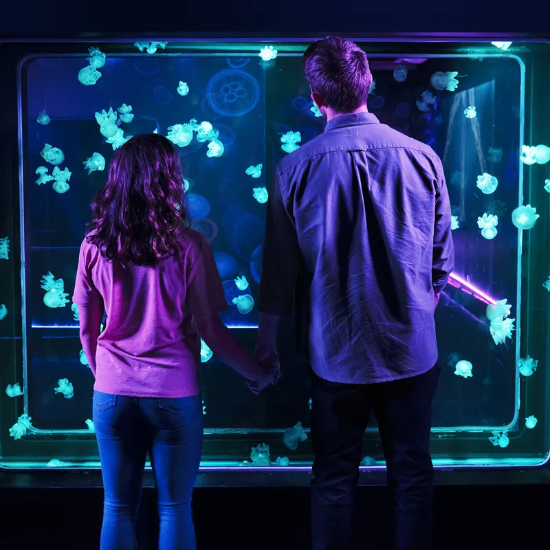 Images SEA LIFE London Aquarium