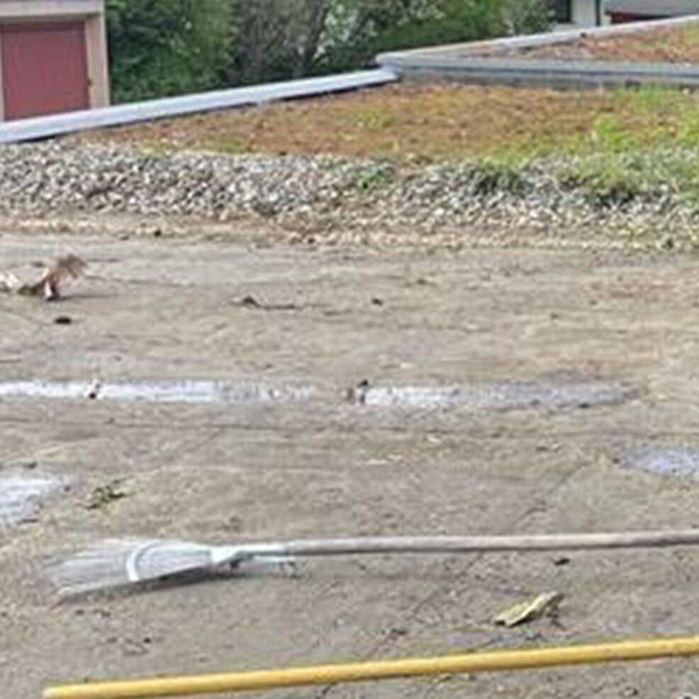 Bilder HDS Hausmeisterservice Entrümpelung Baumfällung Entkernung Demontage Altmetall-Entsorgung