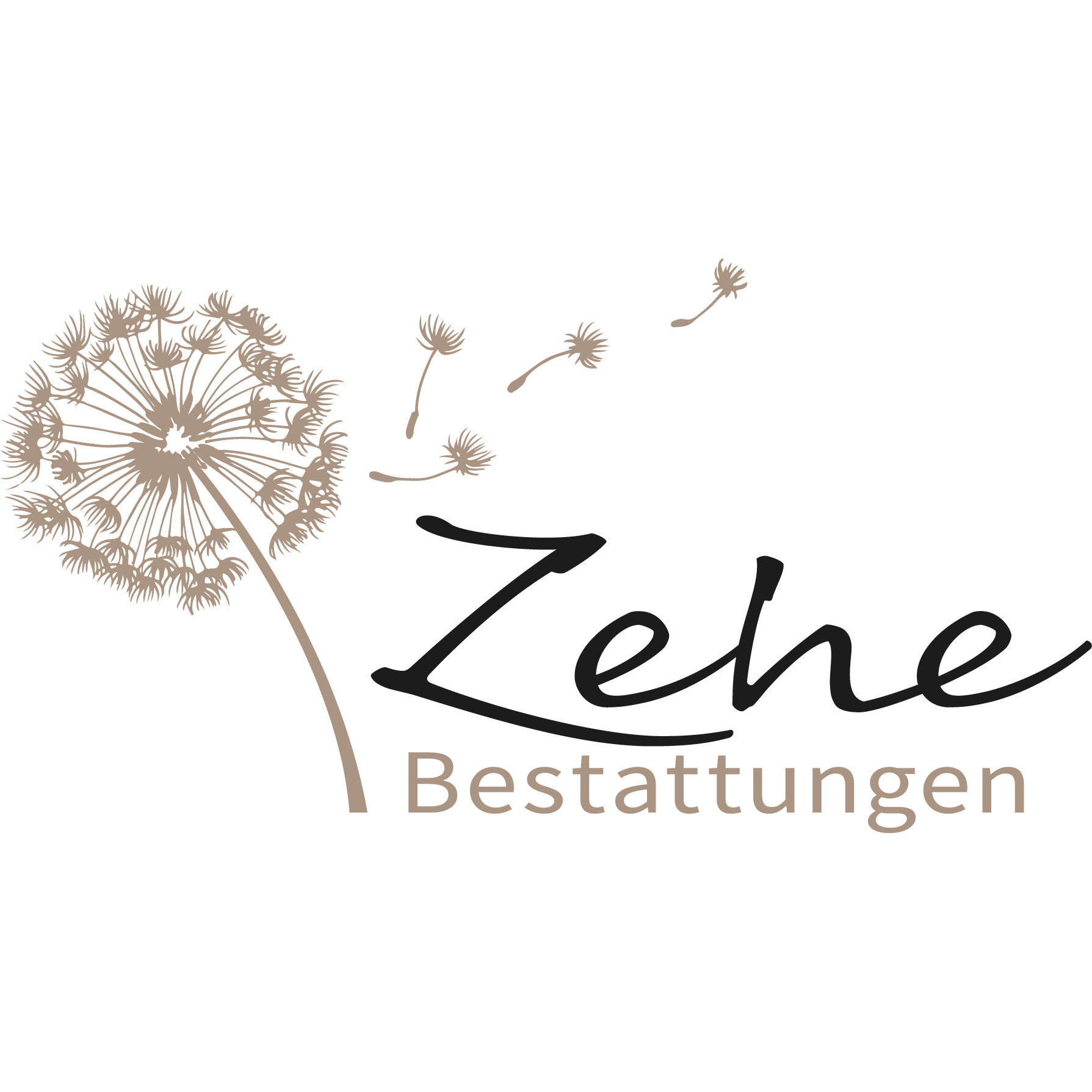 Bestattungen Zehe in Hassfurt - Logo