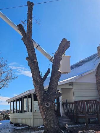 Images H & S Tree Care