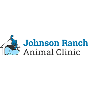 Johnson Ranch Animal Clinic San Tan Valley (480)987-4555