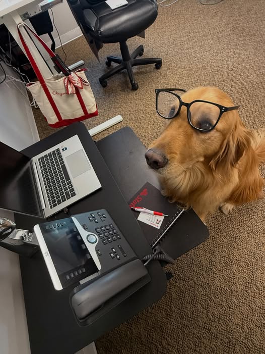 Images Cora Christman - State Farm Insurance Agent