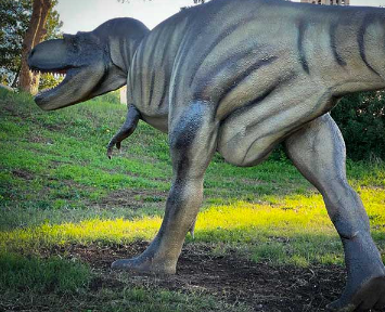 Images Dino Park World Of Dinosaurs