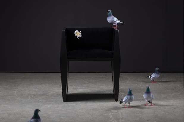 Images SENTIENT Furniture