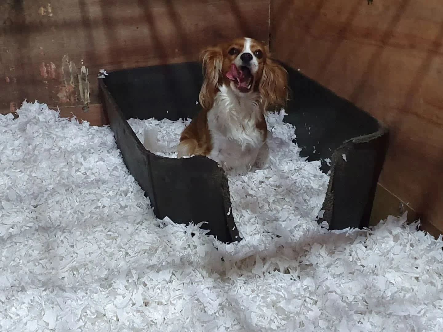 Images Easy Bedding & Feeds Ltd