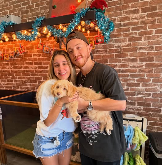 Puppies Direct Image