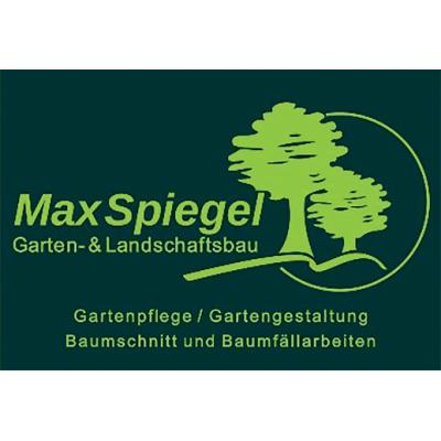 Logo Max Spiegel Garten- und Landschaftsbau
