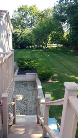 Images Colucci Brothers