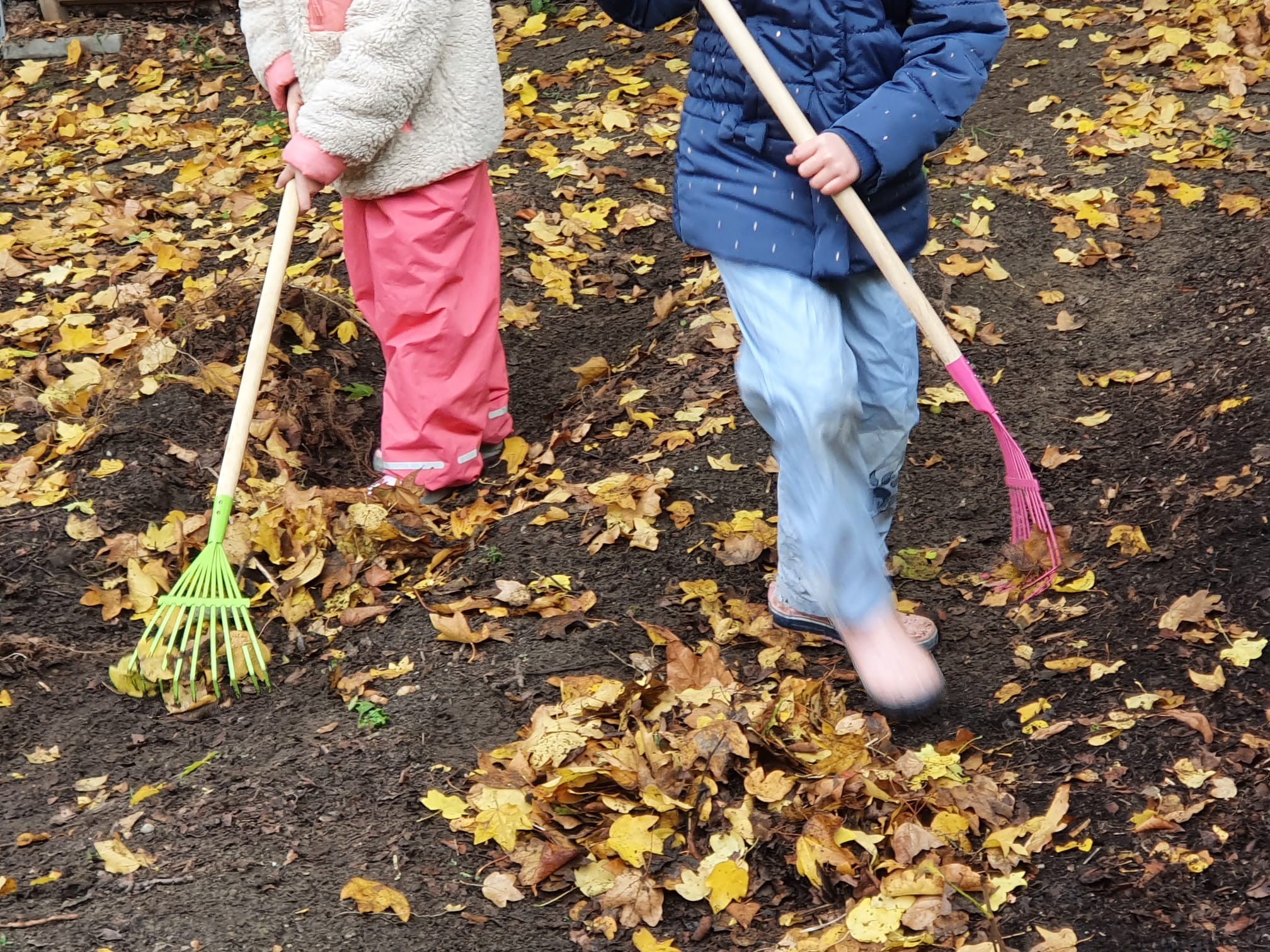 Bild 4 AWO Kita Apfelbäumchen in Berlin