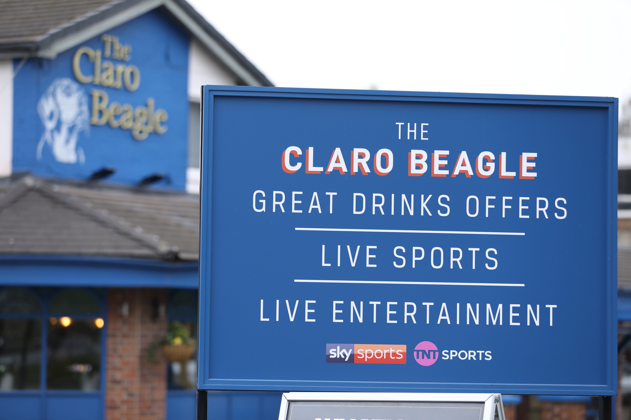 Images The Claro Beagle