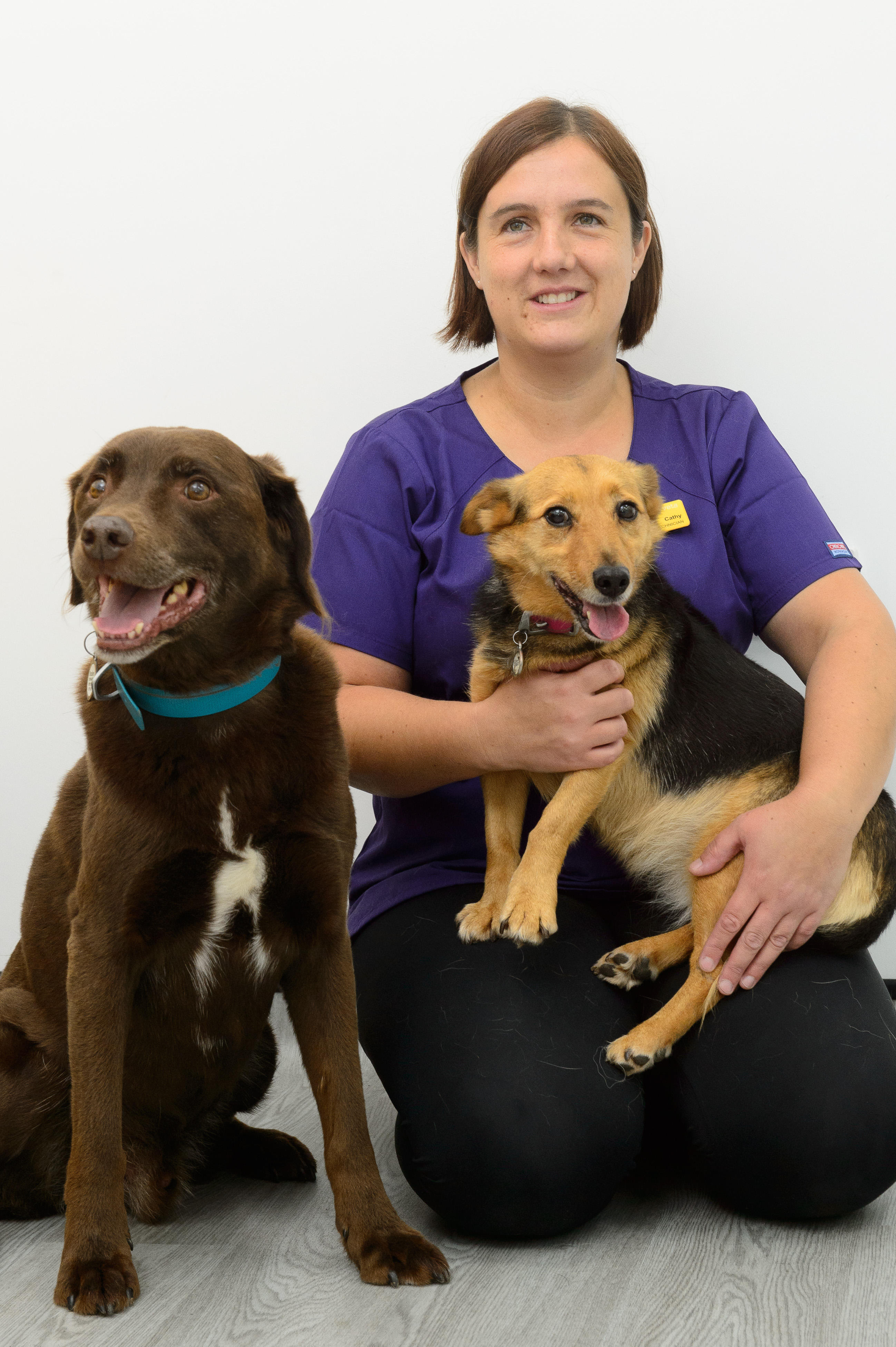 Images Valley Veterinary Hospital